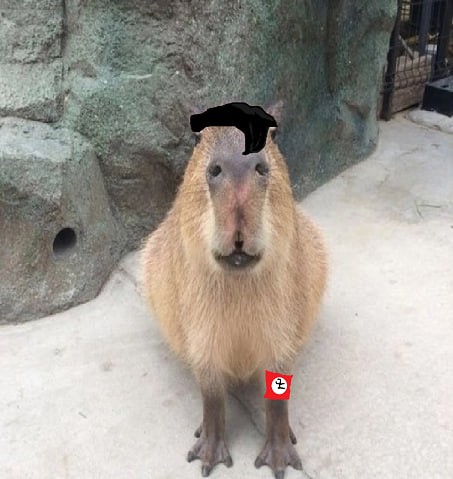 Capybara 4